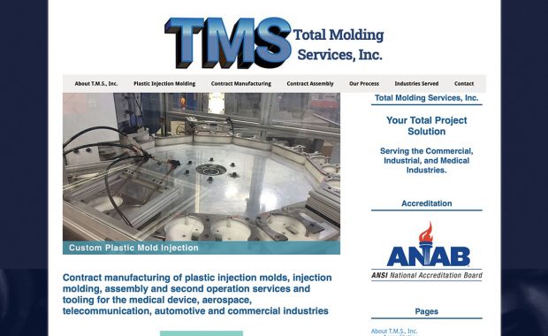 Total Molding Services website